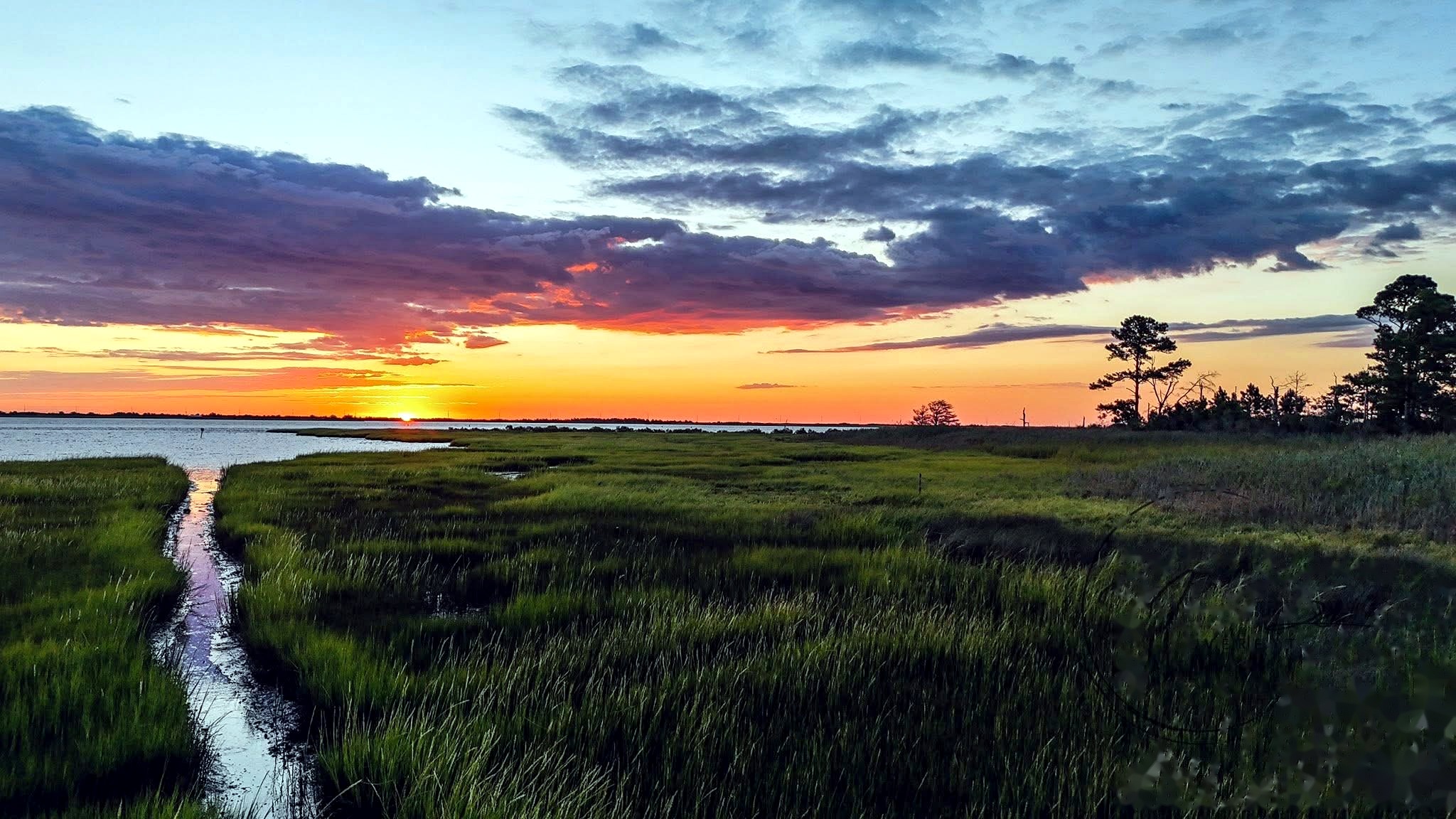 Sussex County, Delaware