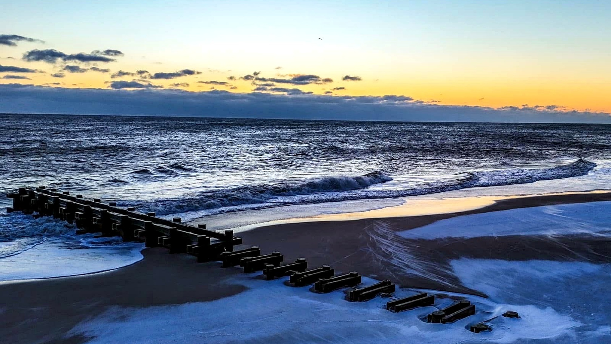 Delaware Coast