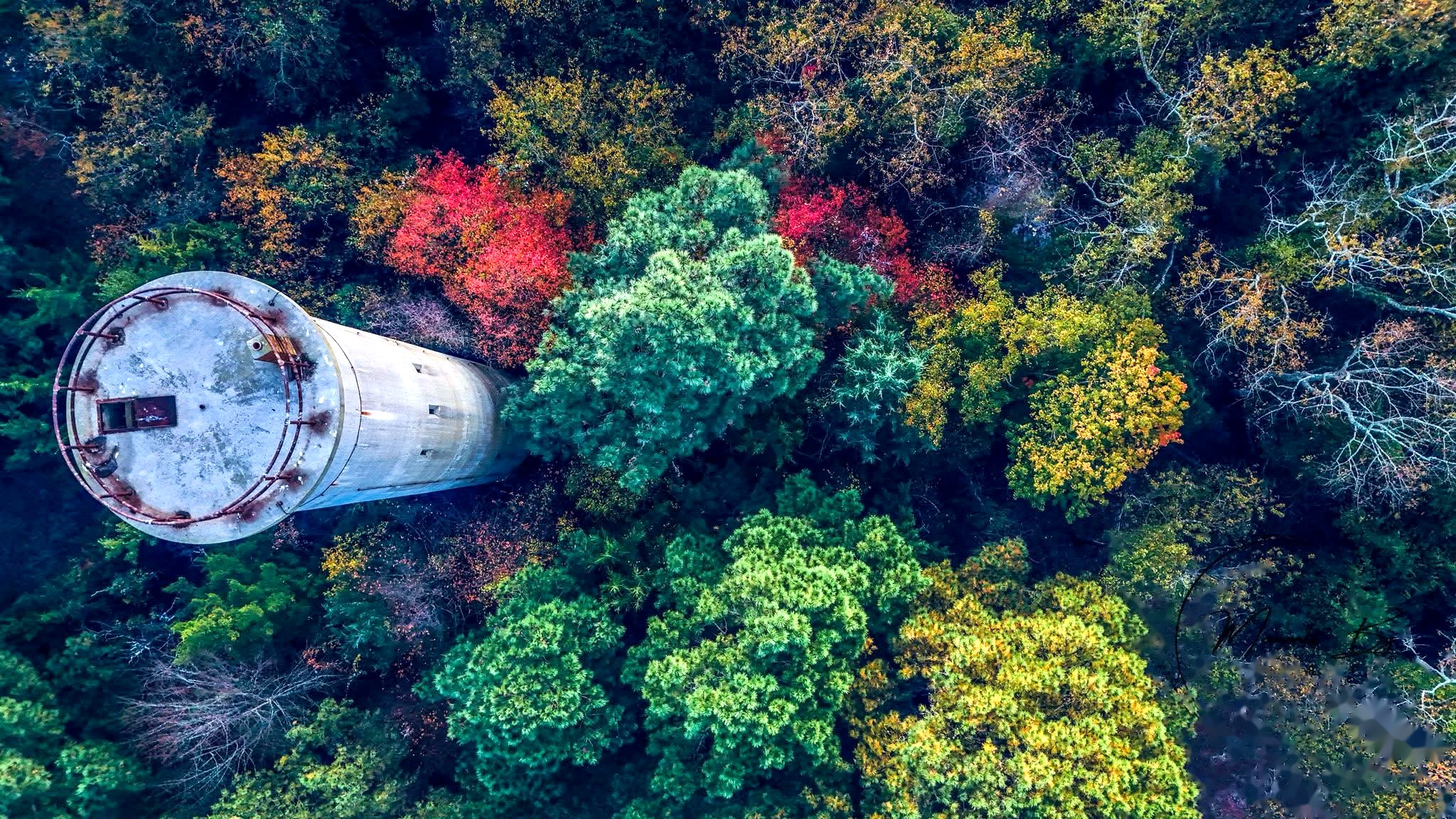 Fall in Sussex County