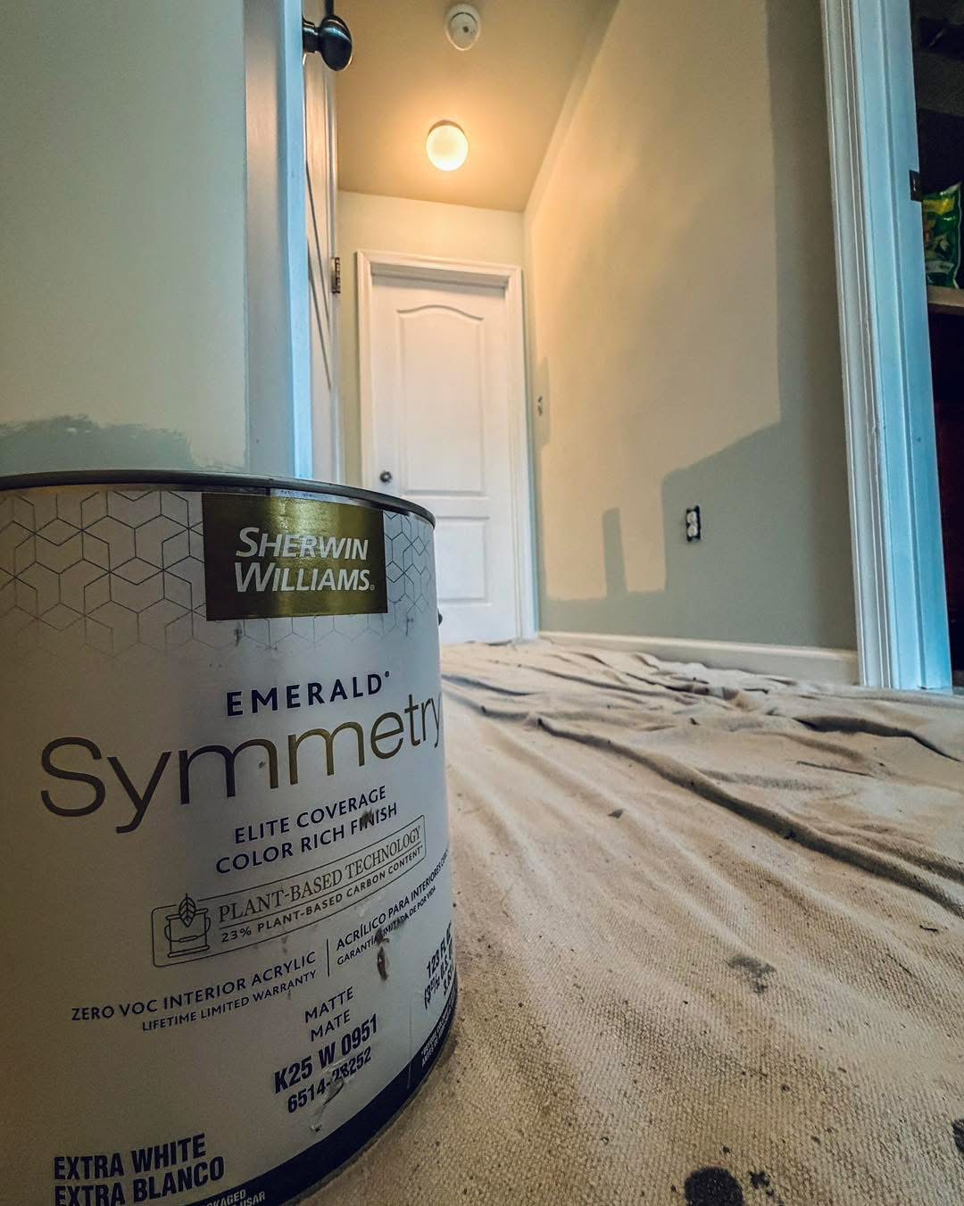 Interior painting in progress, Sussex County DE