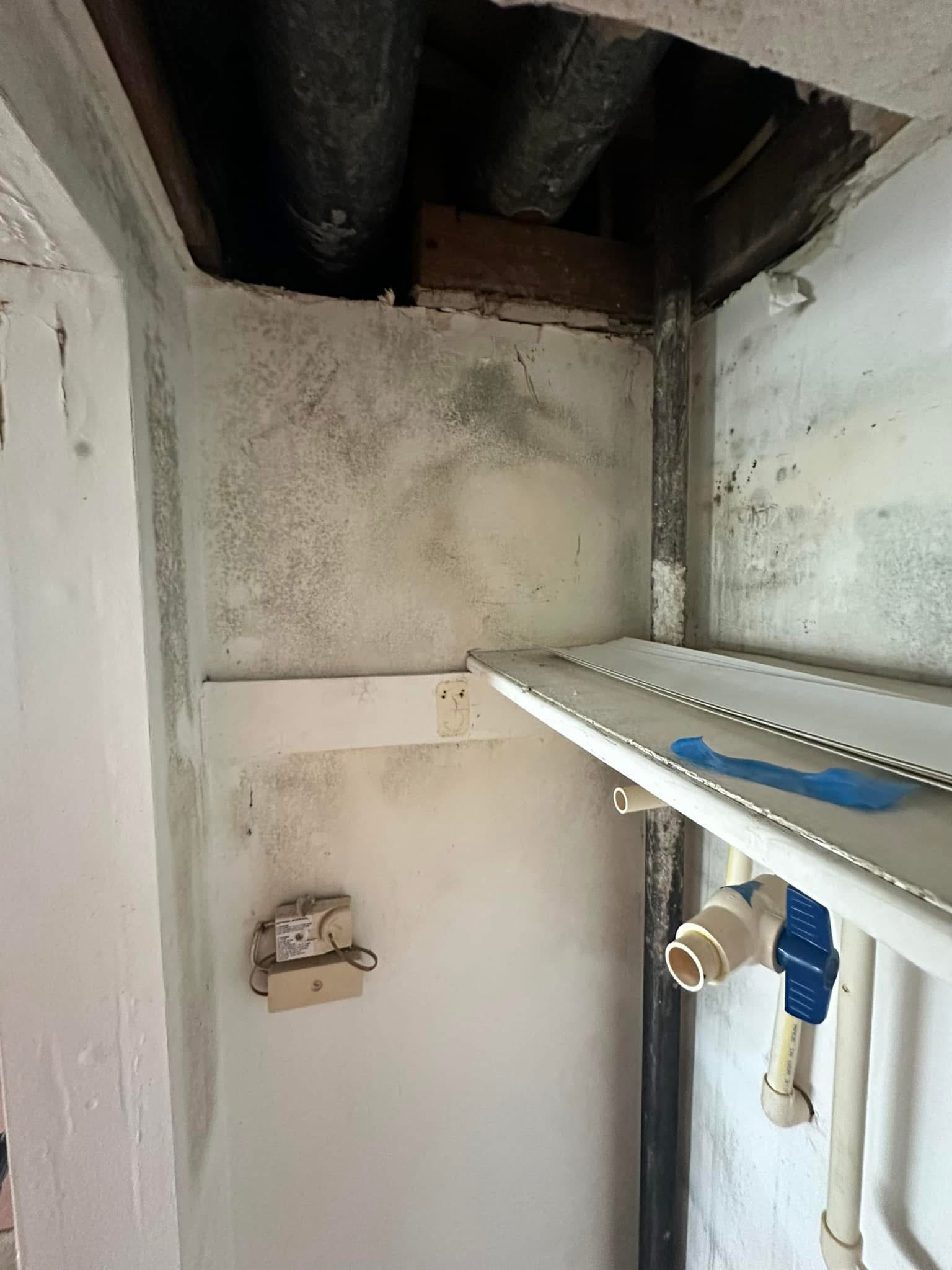 Mold remediation — before, utility closet