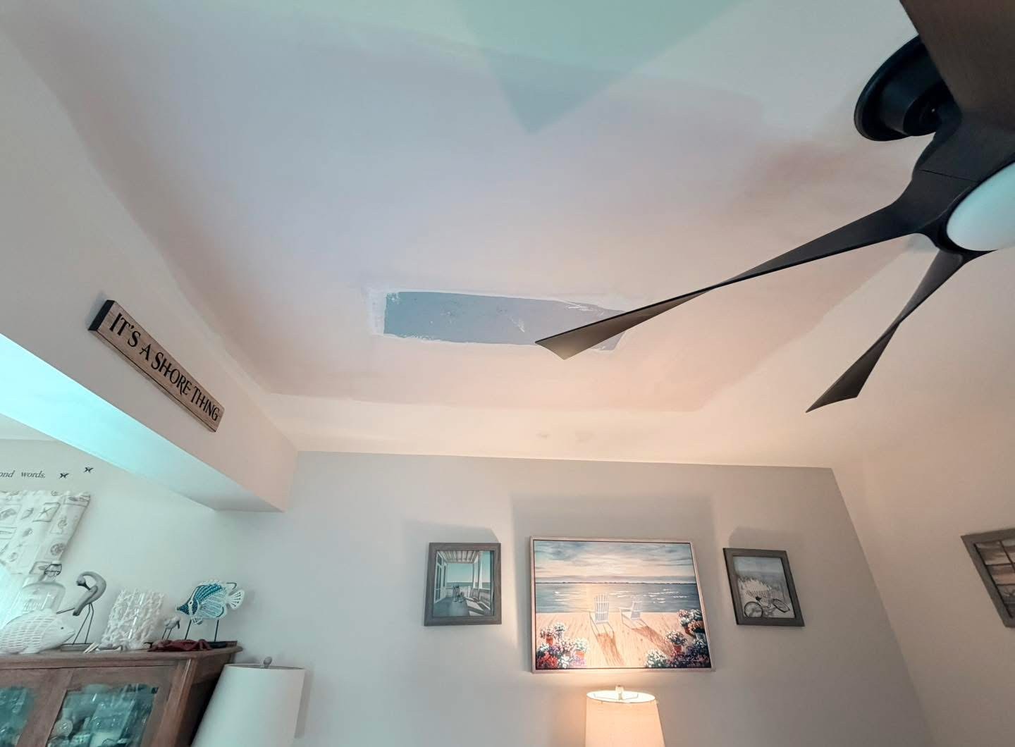 Water damage repair — coastal home ceiling — Fenwick Island area