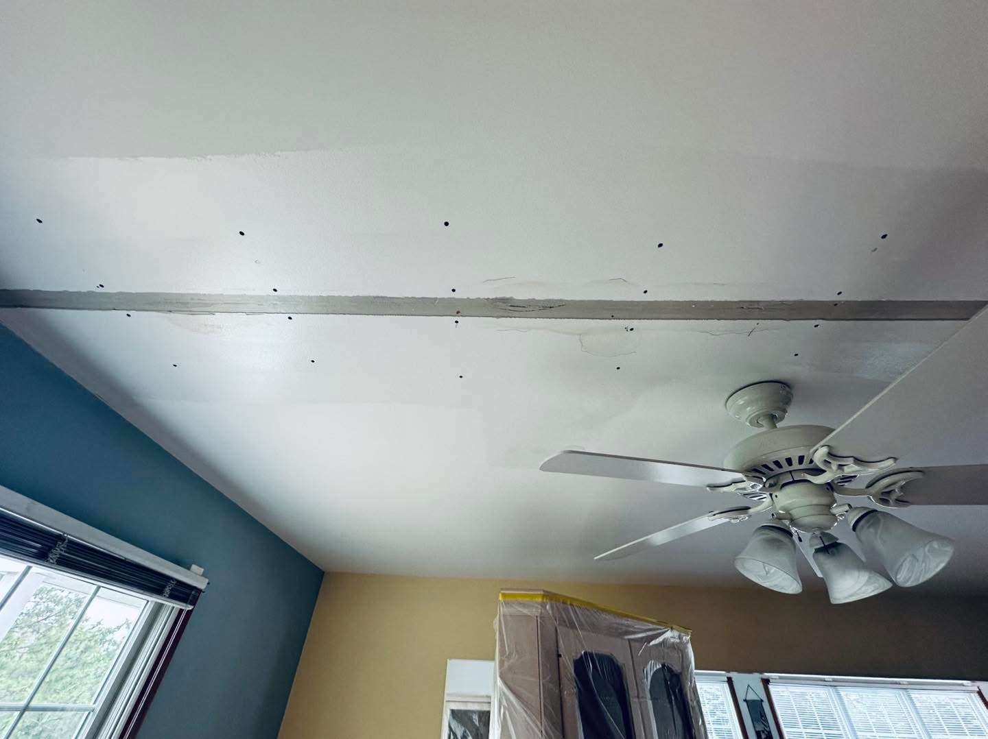 Broadkill Beach water-damaged drywall repair project photo 2