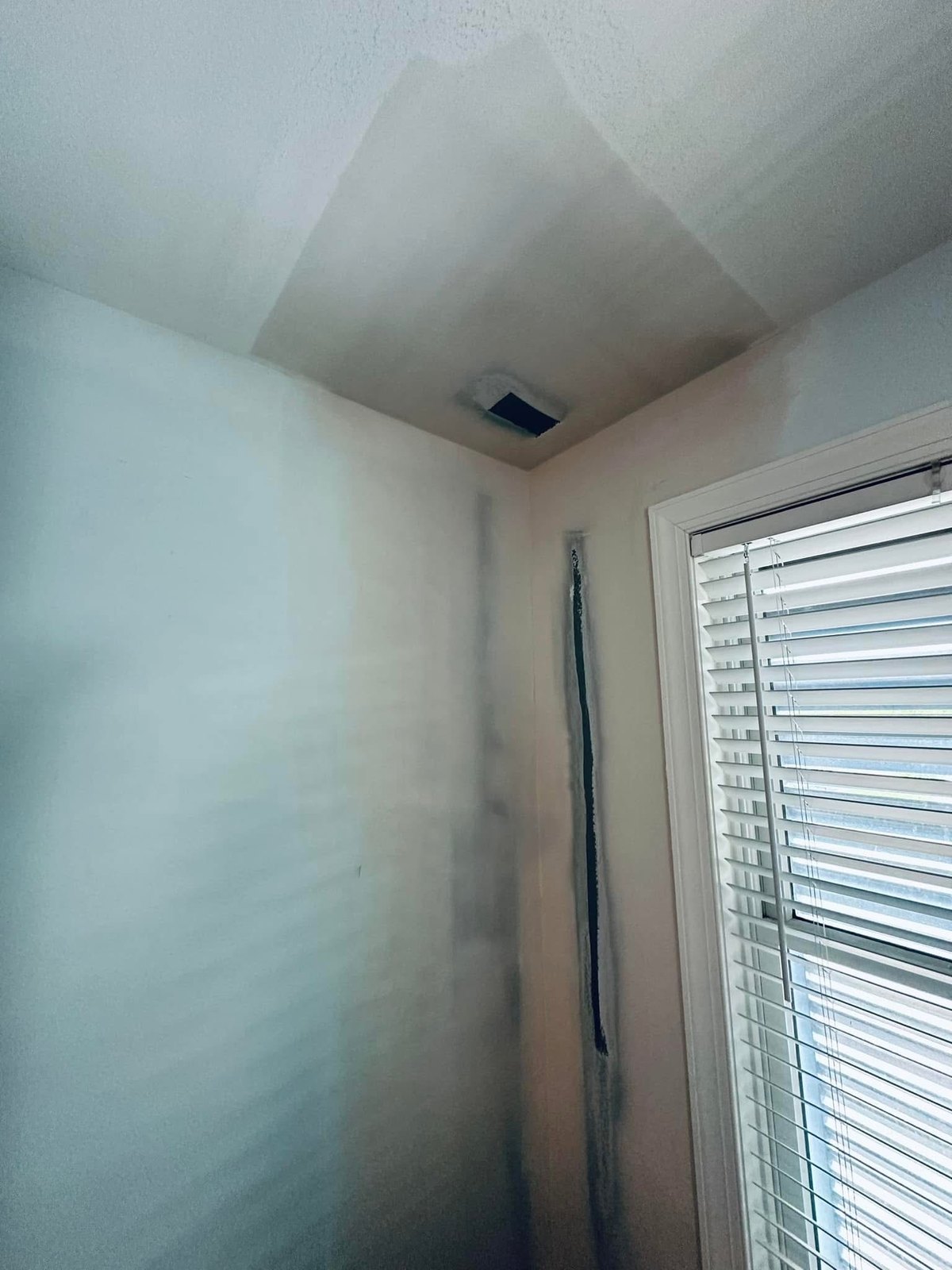 Dewey Beach prepared wall and ceiling repair
