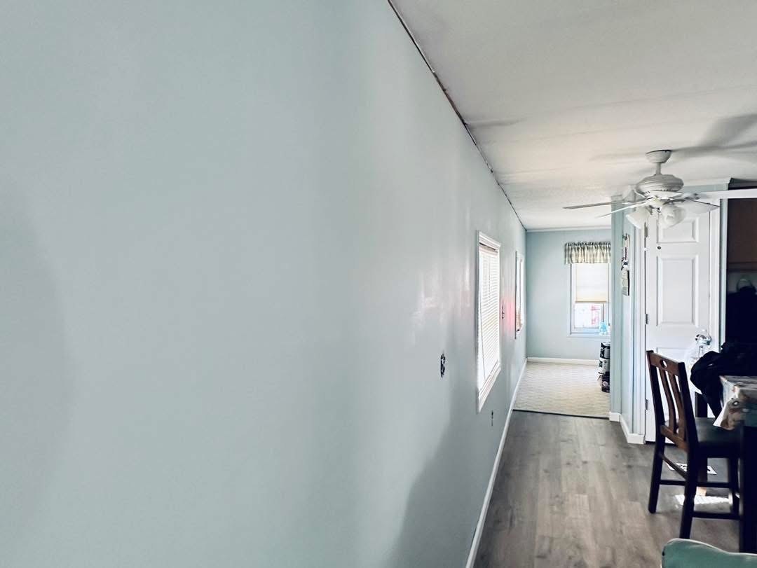 Lewes drywall correction photo 1