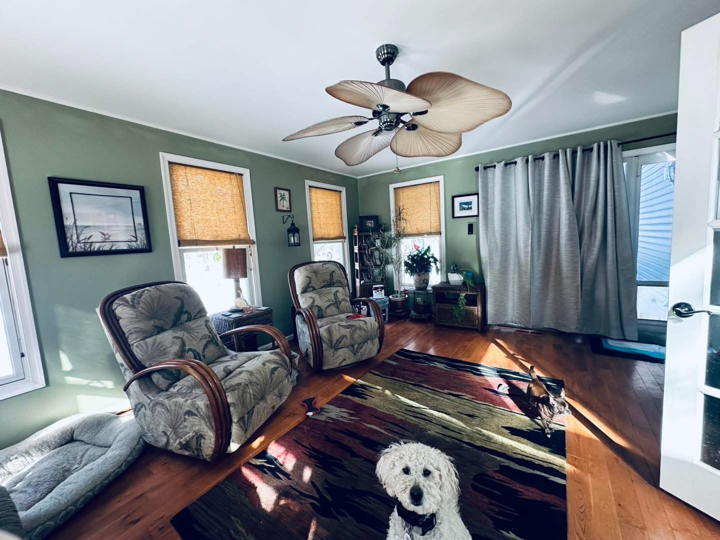 Milton sunroom soffit removal and ceiling replacement project photo 6