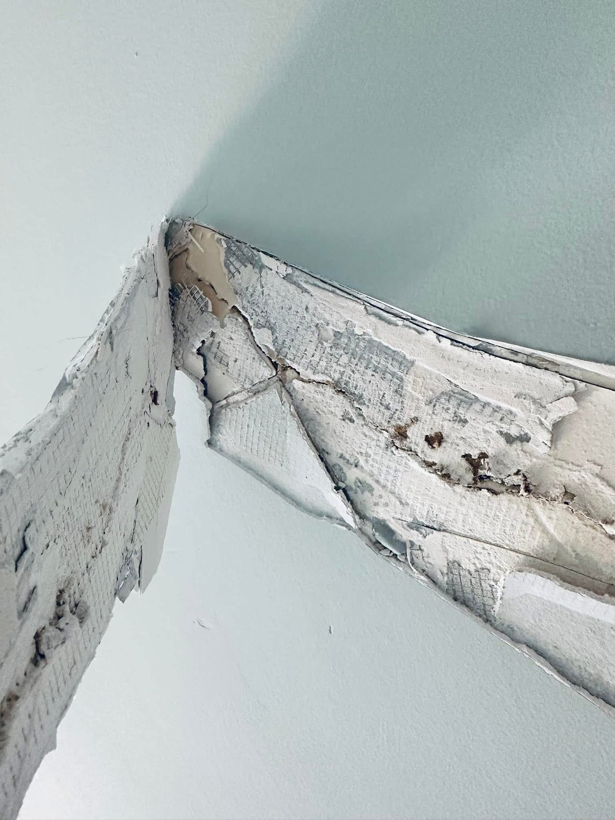 Rehoboth Beach previous mesh tape repairs opened for diagnosis