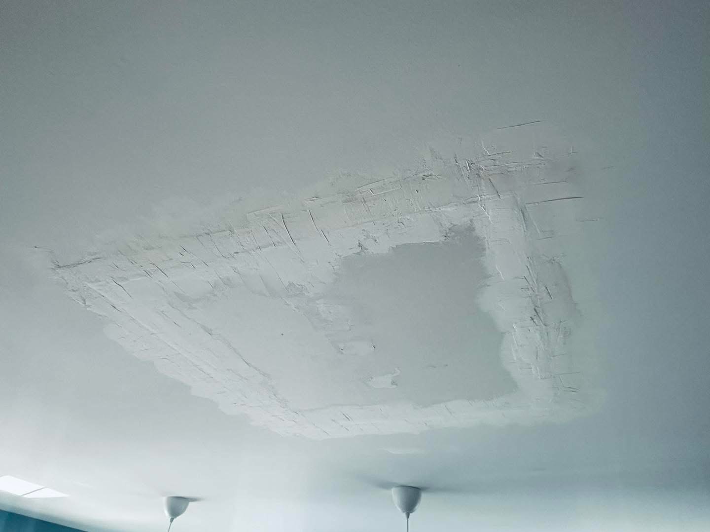 Salt Pond former mesh-tape ceiling repair during removal