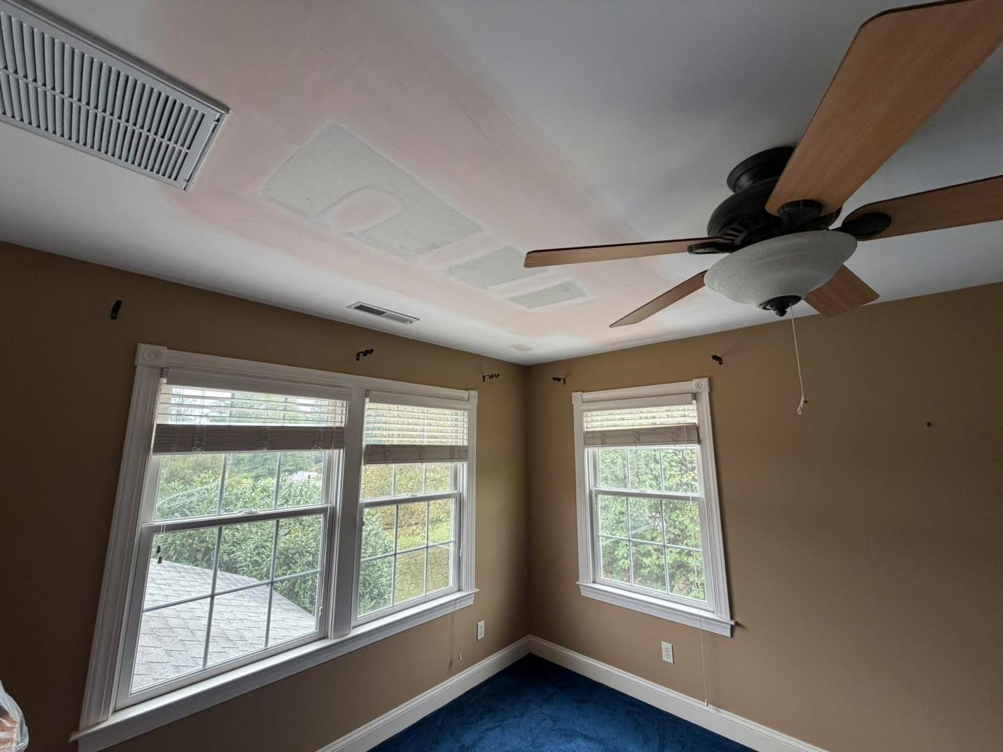 Water damage ceiling repair photo 1