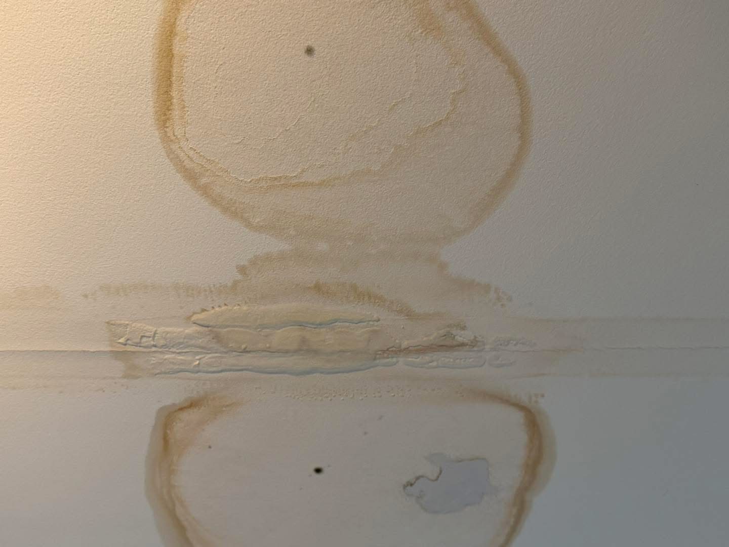 Water damage ceiling repair photo 3